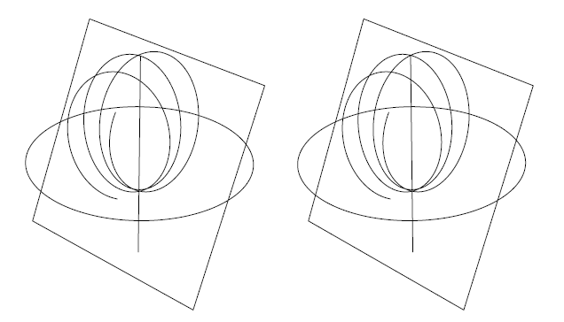 path of test particle in co-rotating frame